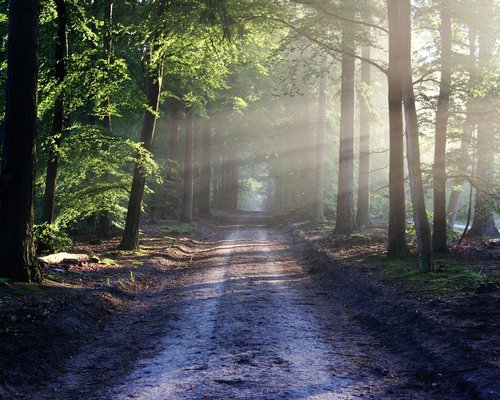 Australian-inspired digital trails in the fictional Southern Mix Trails game